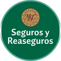 Seguros y Reaseguros Mercantil Santa Cruz