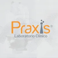 Laboratorio Praxis Bolivia
